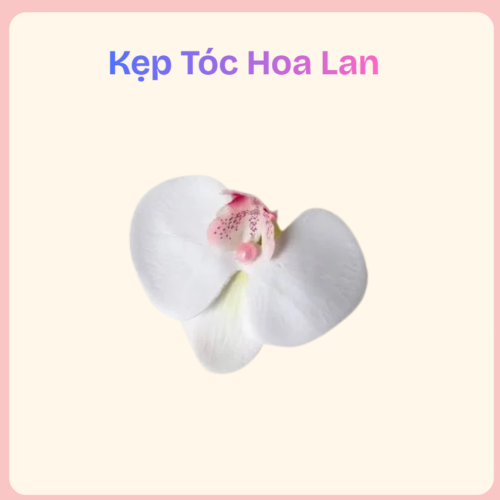 Kẹp Tóc Hoa Lan – Điểm Nhấn Thanh Lịch